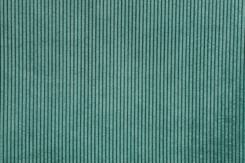 COL 85 - Vert canard