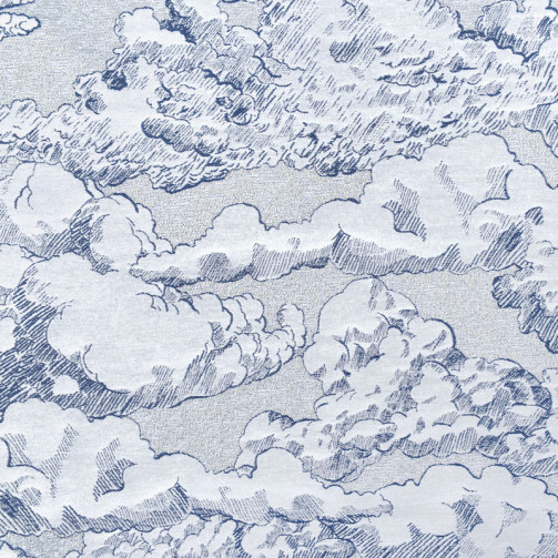 COL 49 - Bleu marine/blanc