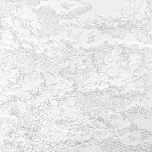 COL 90 - Gris clair/blanc