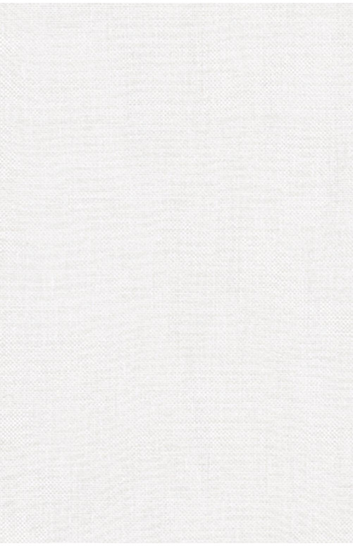 Tissu au mètre : Etamine non feu