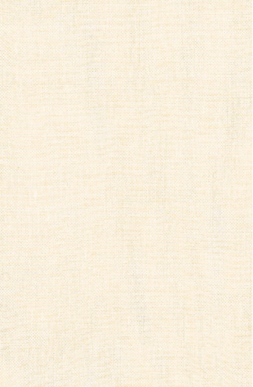 Tissu au mètre : Etamine...